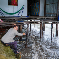 Biển lở